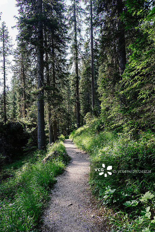 夏季徒步科尔达湖图片素材