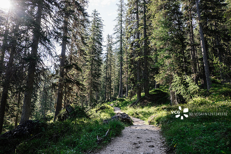 夏季徒步科尔达湖图片素材