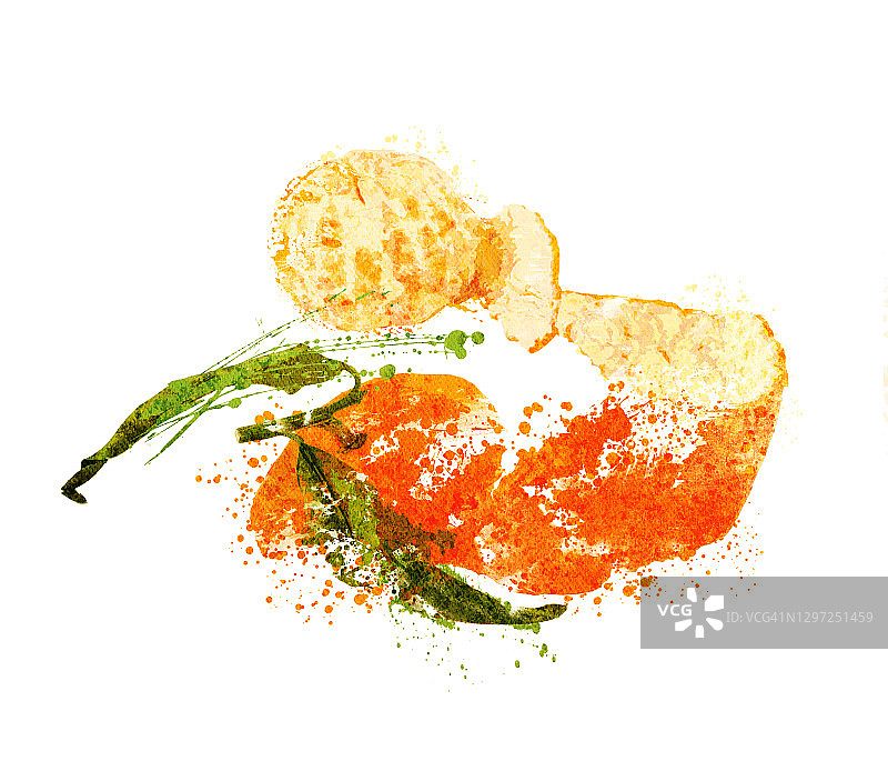 橘子和果皮插画图片素材