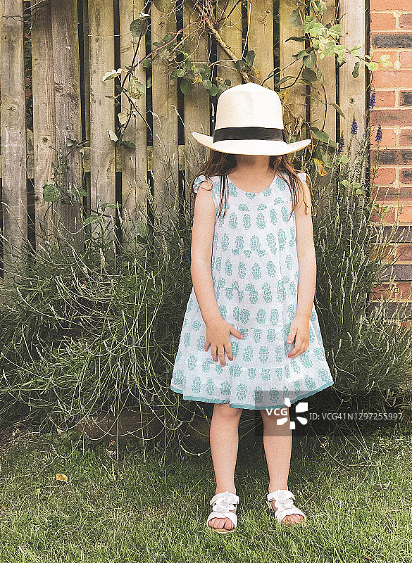 花园里的夏季乐趣图片素材