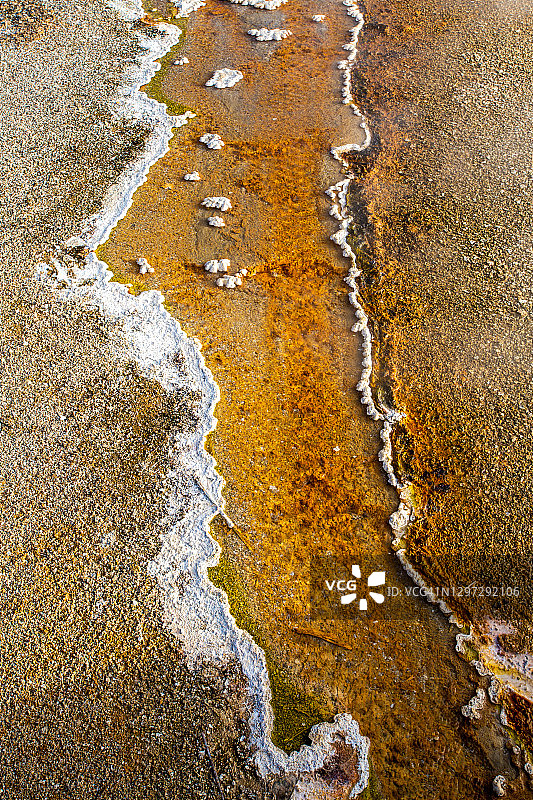 黄石湖边缘地热喷泉水中鲜艳的橙红色藻类特写图片素材