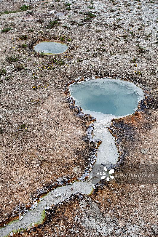 西拇指间歇泉盆地黄石湖附近森林中的地热池特写图片素材