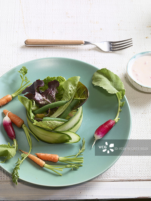 鸟巢沙拉图片素材