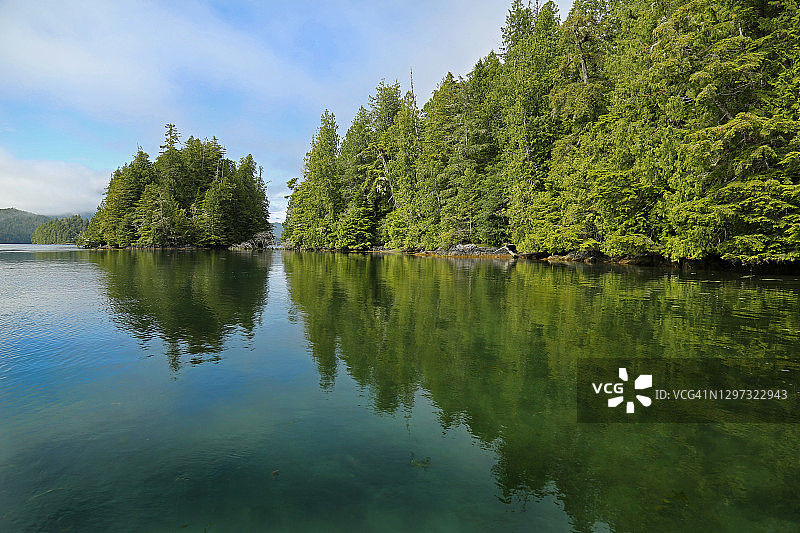 温哥华岛海湾森林与海洋交汇图片素材