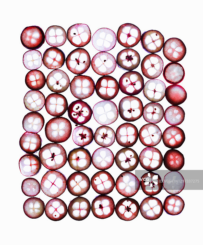 切片蔓越莓图片素材