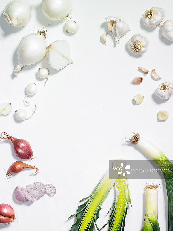 各类葱属植物图片素材