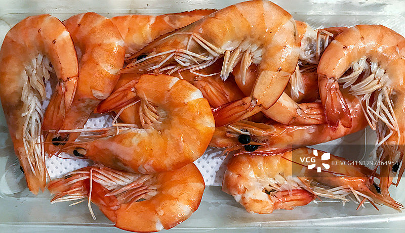 巨型虎虾图片素材