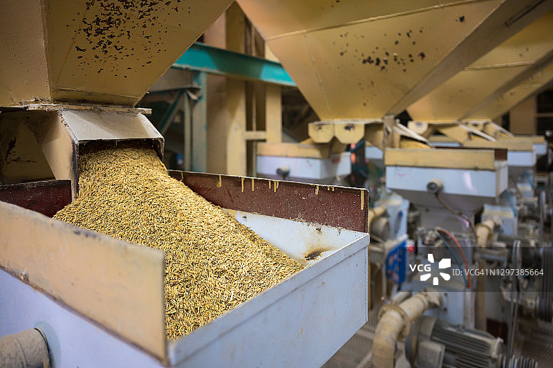 稻米加工机械，收集稻谷图片素材