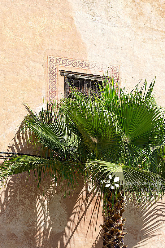 摩洛哥马拉喀什阿格达尔花园图片素材