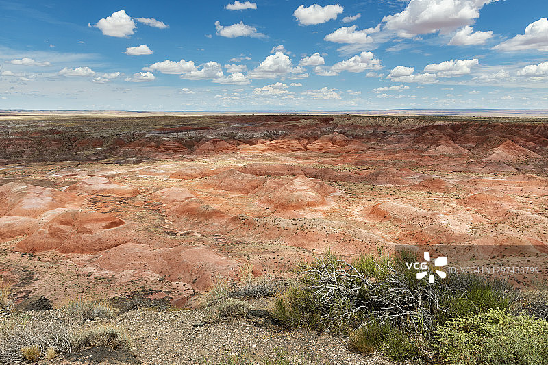 石化沙漠国家公园内彩色沙漠的景色图片素材