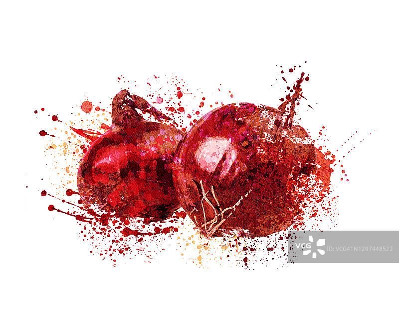 红洋葱插画图片素材