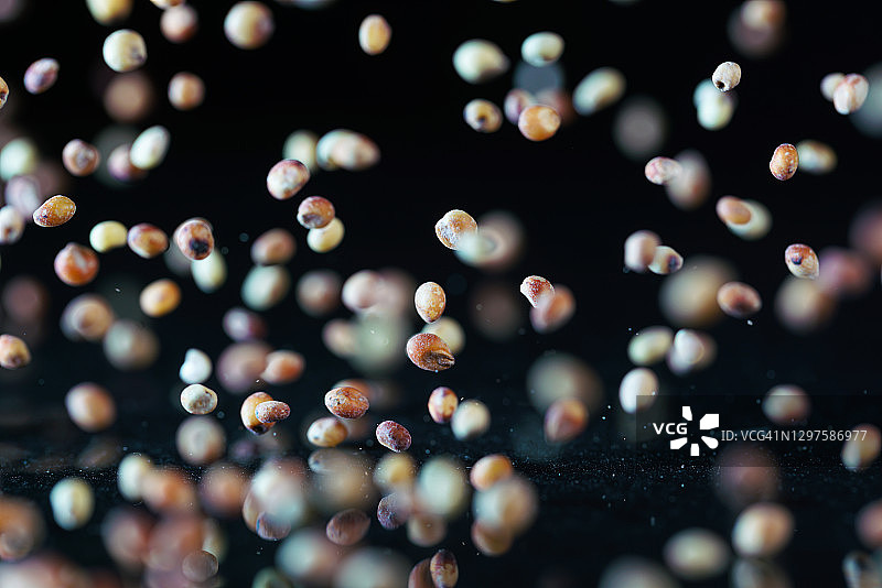 黑色背景中飞扬的红色高粱种子图片素材