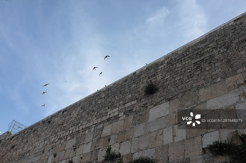 宗教圣像和符号，西墙，黎明时分燕子飞翔图片素材