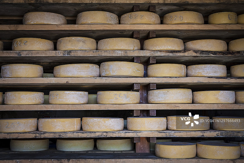 山区农场中的奶酪调味料模具图片素材