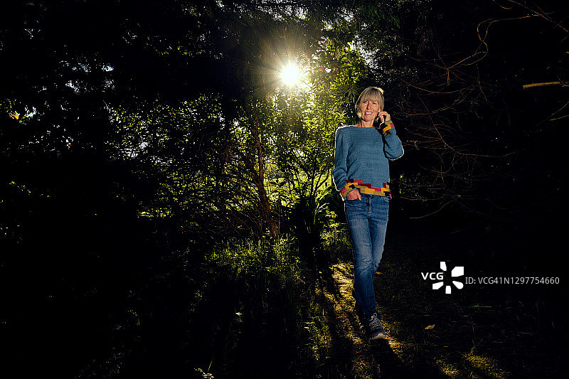 在森林中漫步，感受寂静图片素材