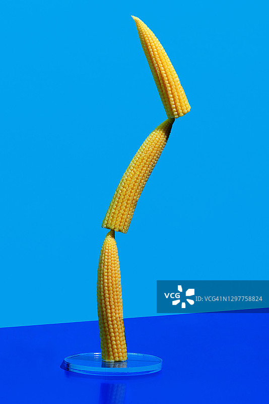 平衡的玉米笋图片素材