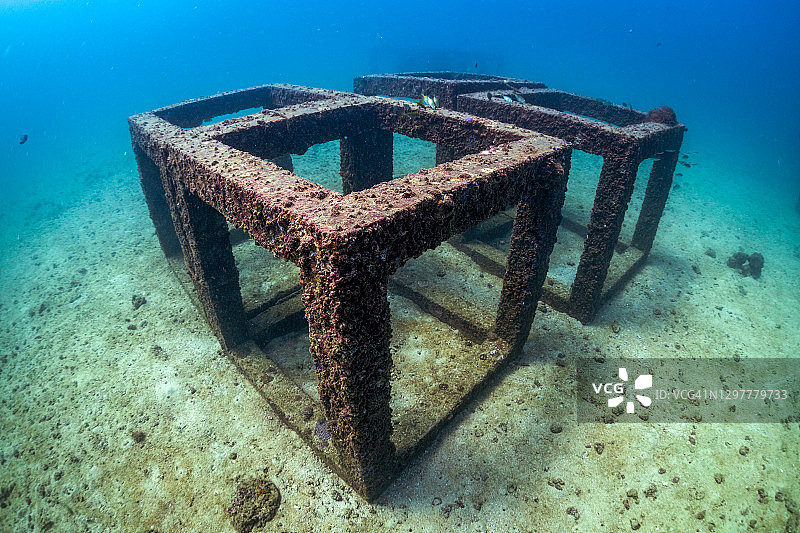 人工珊瑚水下景观图片素材