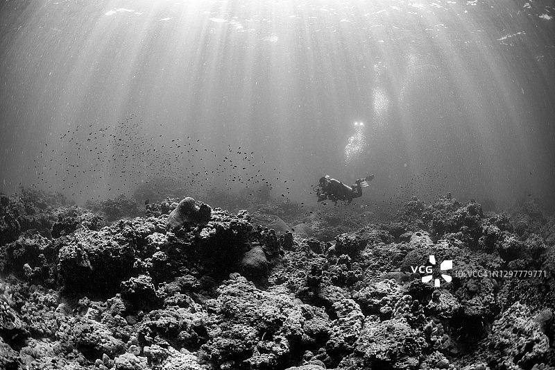 泰国卡塔海滩的珊瑚礁图片素材