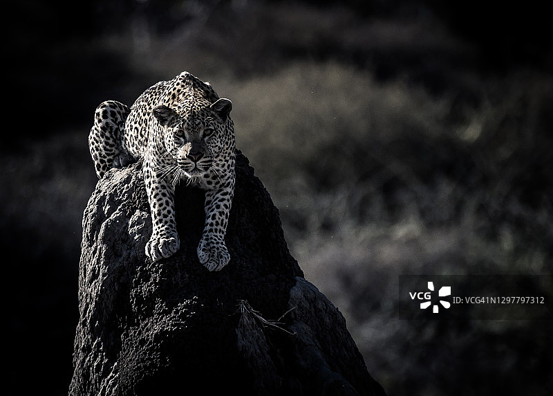 我看见你了图片素材