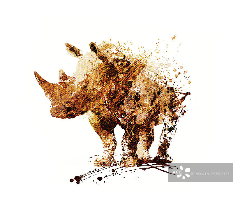 犀牛插画图片素材