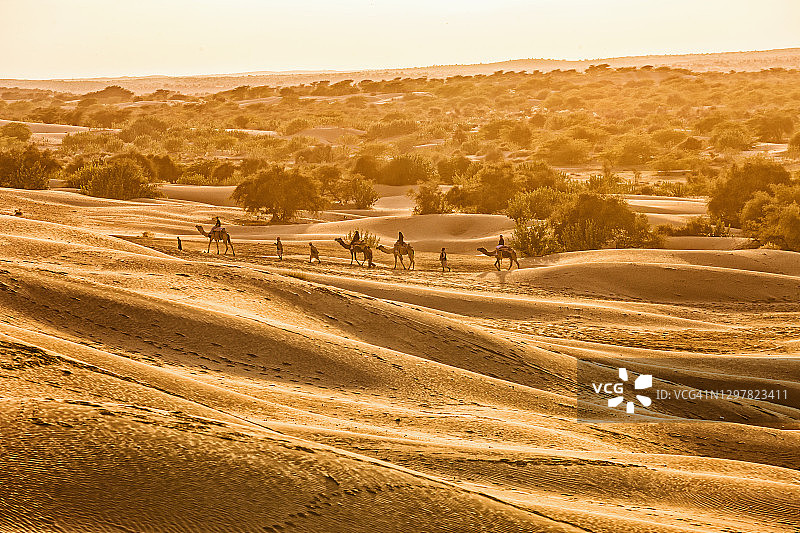 沙丘附近的骆驼图片素材