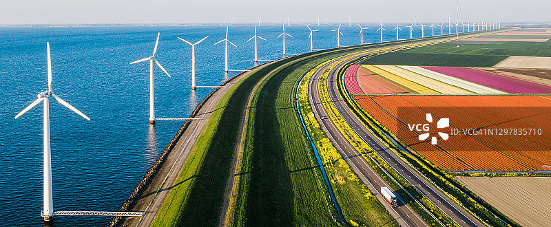 荷兰郁金香花田与大海相接的航拍照片图片素材