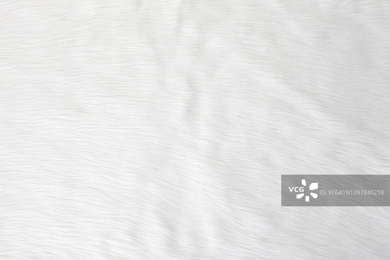 毛皮顶部视角纹理背景图像图片素材