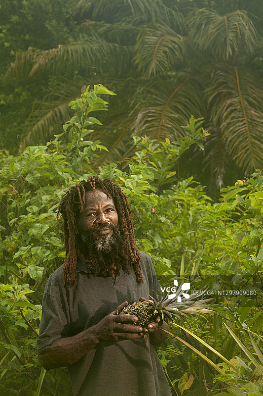 菠萝种植户图片素材