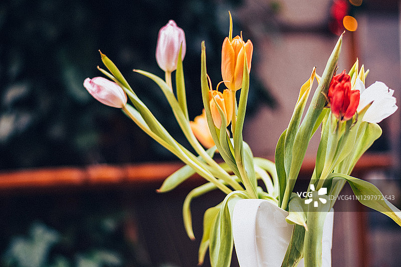 德国纽伦堡市的鲜花特写图片素材