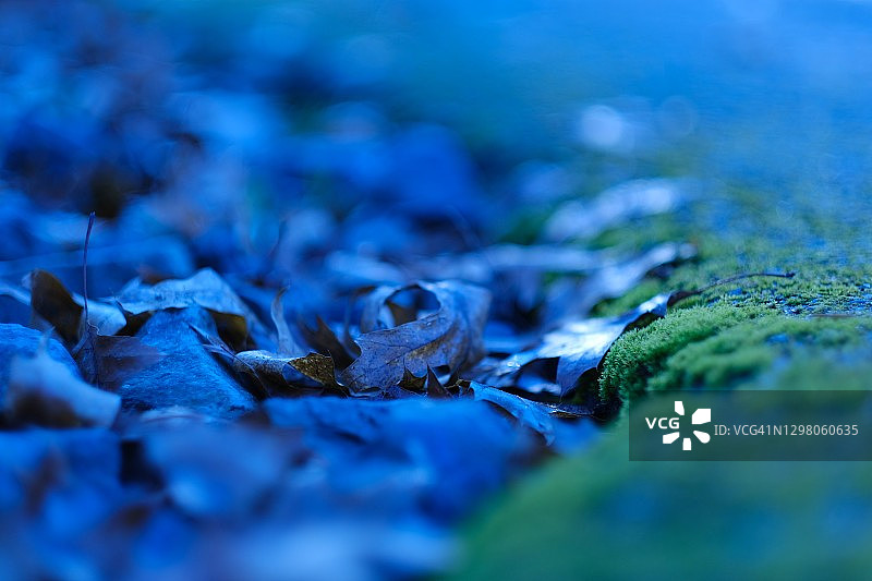 风景优美的公园图片素材