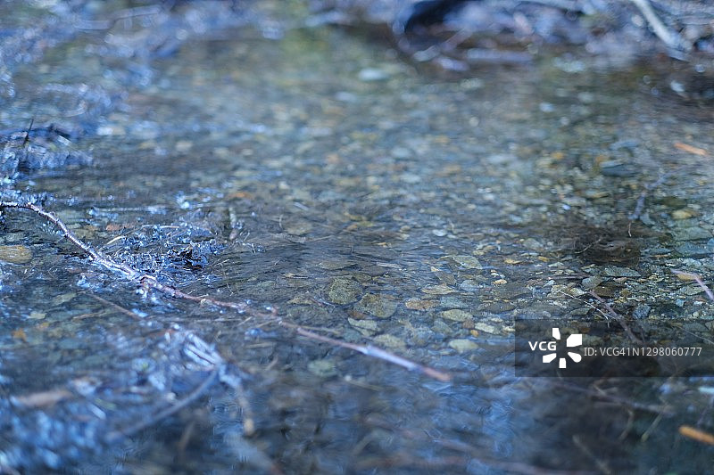 风景优美的公园图片素材