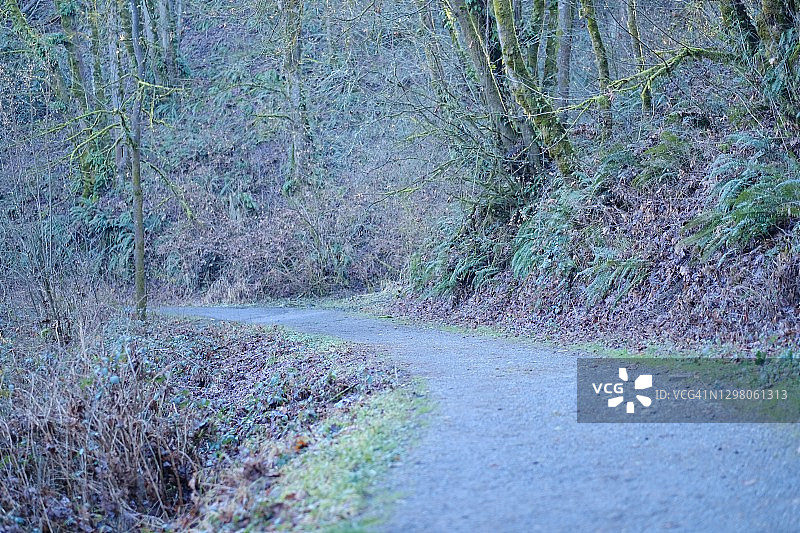 风景优美的公园图片素材