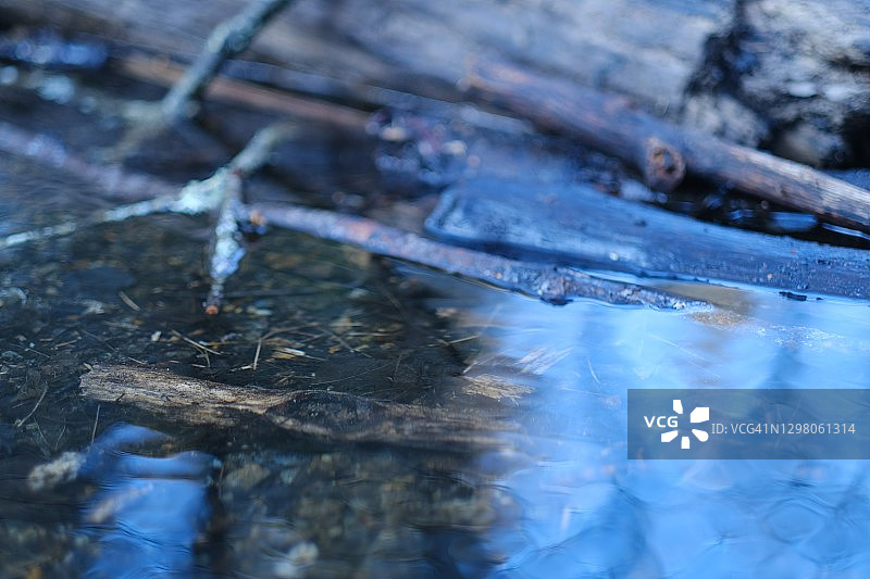 风景优美的公园图片素材