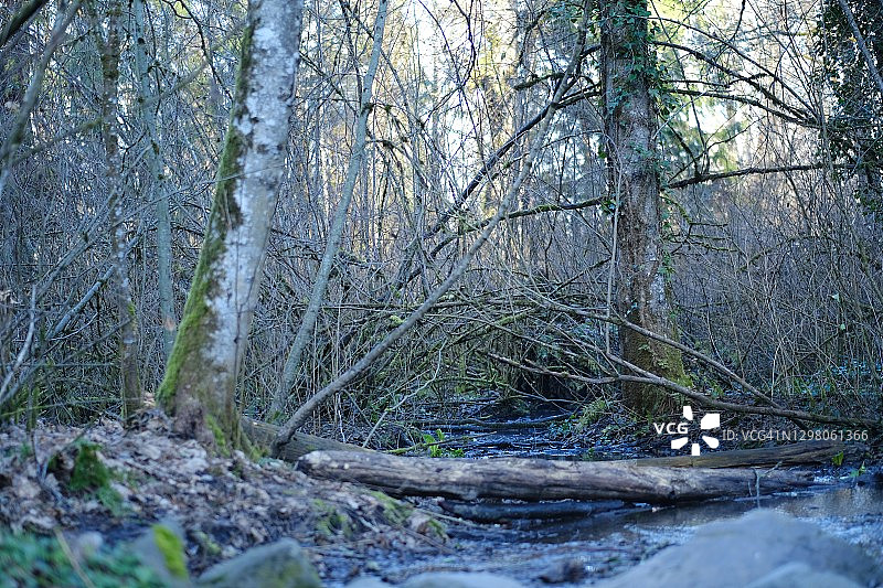风景优美的公园图片素材