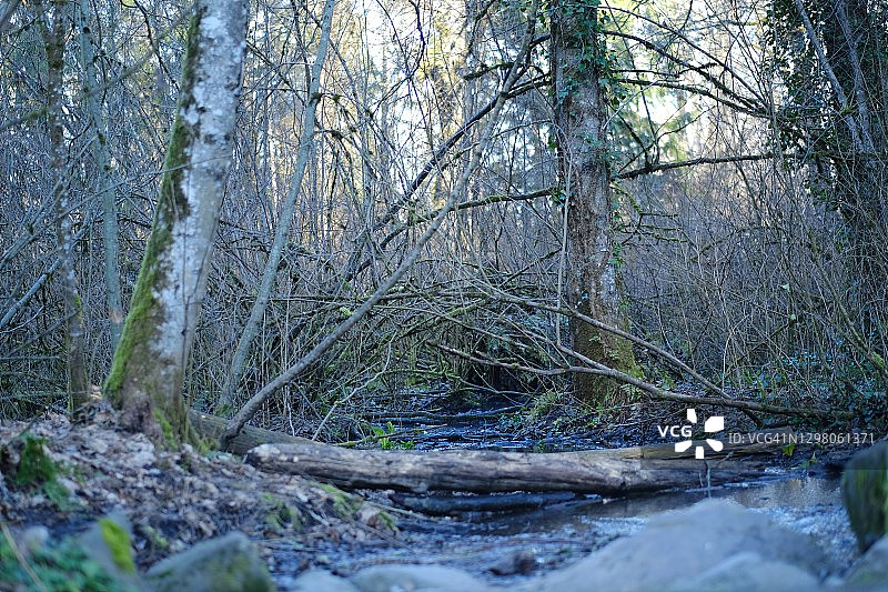 风景优美的公园图片素材