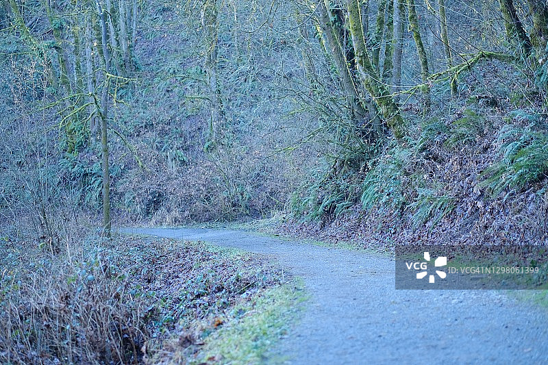 风景优美的公园图片素材