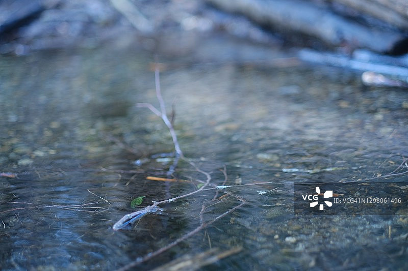 风景优美的公园图片素材