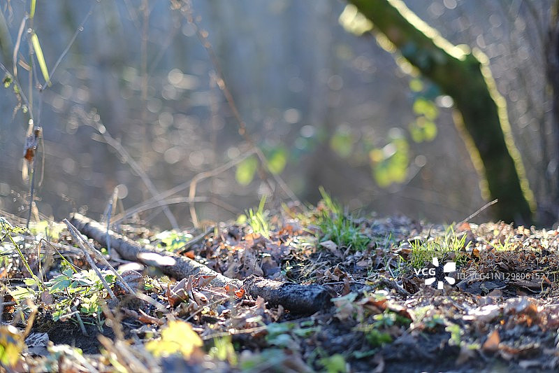 风景优美的公园图片素材