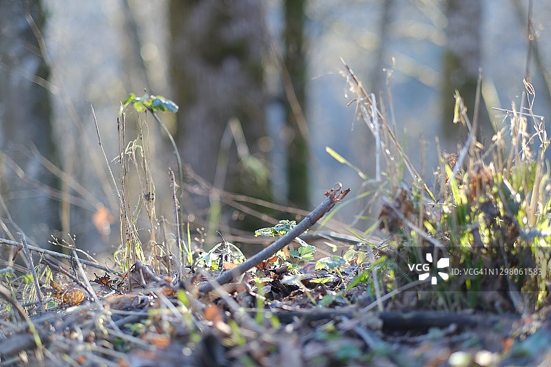 风景优美的公园图片素材
