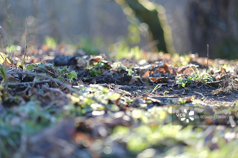风景优美的公园图片素材