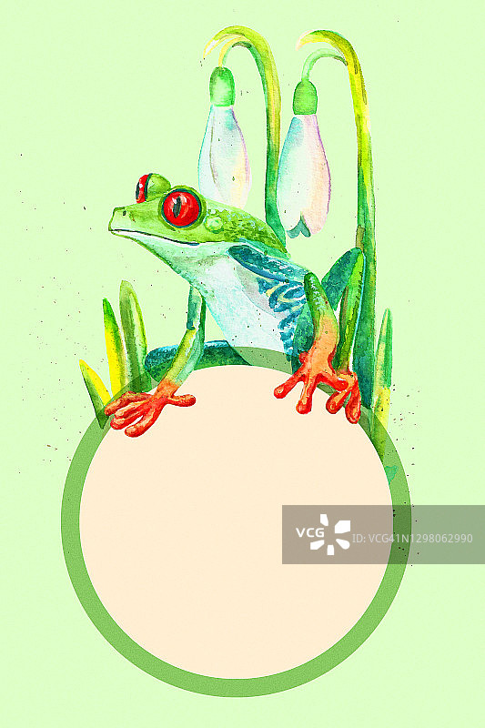 水彩红眼树蛙和番红花封面模板，春季留白插画图片素材