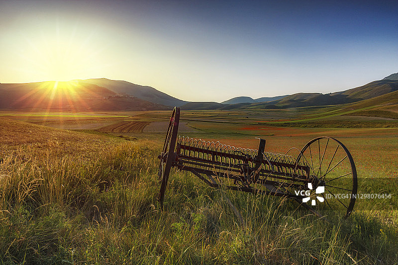 日出时停放在鲜花盛开的田野中的生锈耙子图片素材