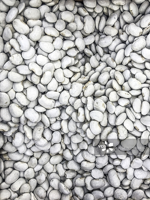 海军豆，菜豆，白豌豆，豌豆，珍珠菜豆，波士顿豆，cannellini，fazolia，白芸豆，骨髓豆，菜豆，大白豆图片素材