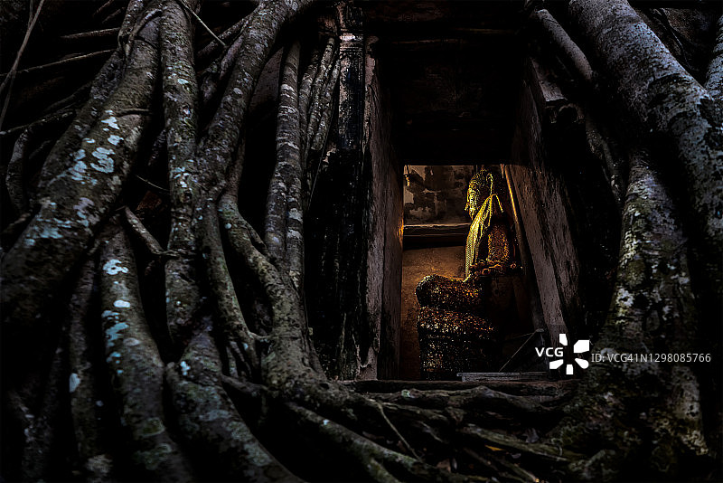 泰国夜功府安帕瓦邦功寺图片素材