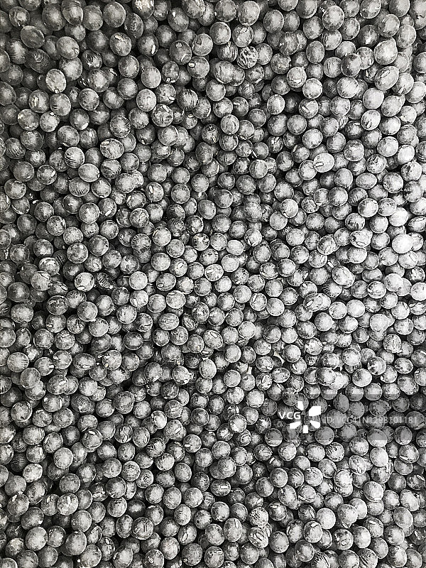 丹波黑大豆图片素材