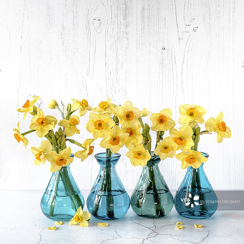 鲜艳玻璃花瓶中的春天水仙花静物图片素材