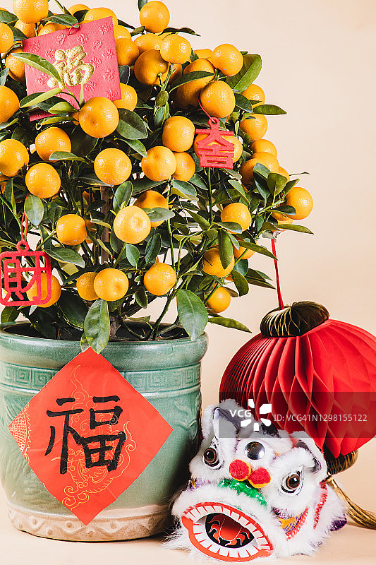 中国新年金桔盆栽树、舞狮和红灯笼图片素材