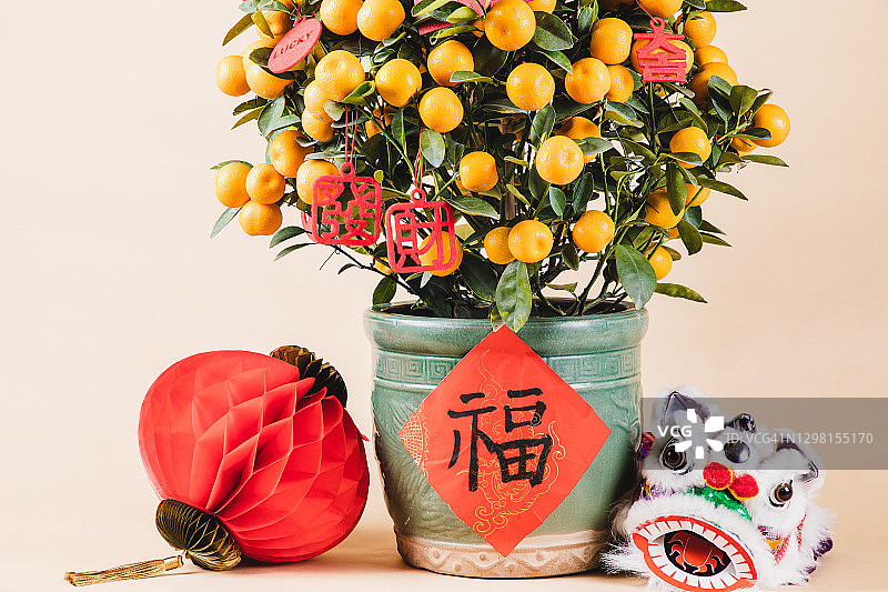 中国新年金桔盆栽树、舞狮和红灯笼图片素材