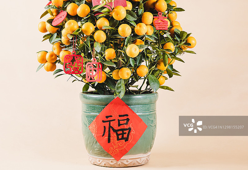 中国新年植物金桔树与装饰品图片素材