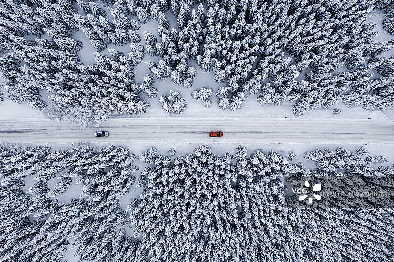 无人机视角下的雪覆盖的杉树林和道路图片素材